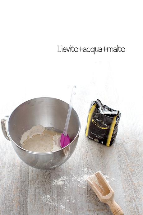 PANINI SOFFICI VEGAN | LAUGEN E PRETZEL