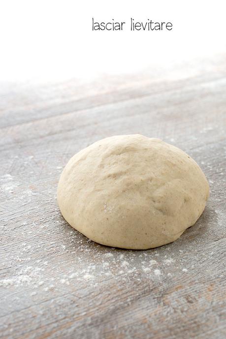 PANINI SOFFICI VEGAN | LAUGEN E PRETZEL