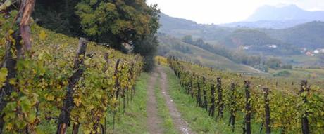 Tufo Greco Festival 2015: 3 giorni dedicati al Vino Bianco Irpino