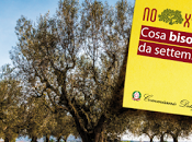 Cosa bisogna fare settembre, combattere xylella fastidiosa