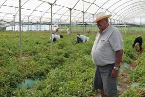 Lamberti da mezzadro ad imprenditore agricolo. Viaggio nell’agricoltura italiana