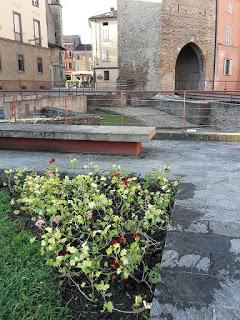 I gerani riciclati di Piazza Grandi