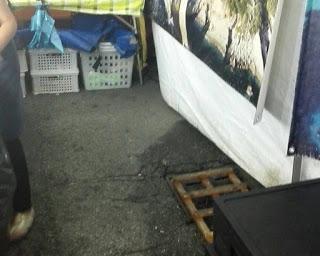 PAVIA. Sul caso dei tombini di viale Matteotti le critiche dell'opposizione