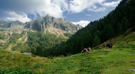 LAGORAI: Montagne di Granito