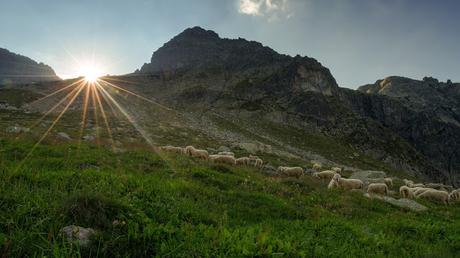 LAGORAI: Montagne di Granito