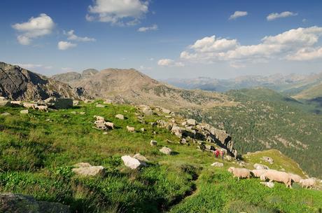 LAGORAI: Montagne di Granito