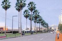 Riqualificazione di Via Marina con piste ciclabili e alberi | Le Foto del progetto