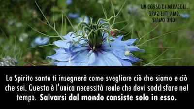 Nel mondo reale nessuno soffre perdite di nessun tipo. Parte 7.