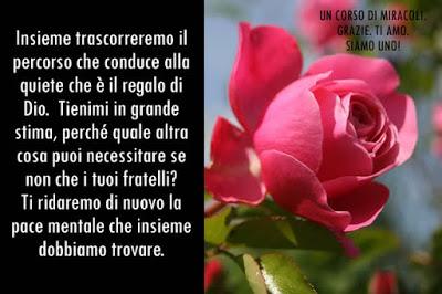 Nel mondo reale nessuno soffre perdite di nessun tipo. Parte 7.