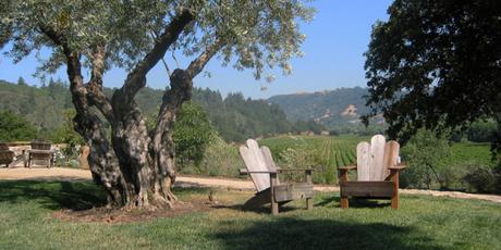 Sognando la California: festival, concerti e degustazioni nella regione del vino