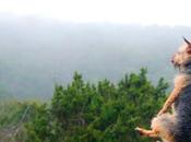 SHIT SHINE, Everybody’s Fuckin Expert