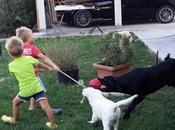 Cani, bimbi
