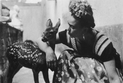 Frida: tra sofferenza e amore. Una vita di passioni.