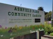 Community garden working bees