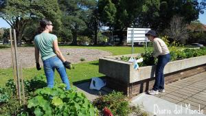 Community garden & working bees