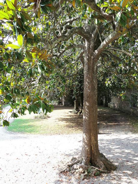 Fashion in Flair 2015