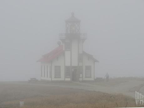 I found my love in Mendocino/2. In tutto il suo splendore