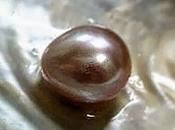 Pietre cristalli, Perla