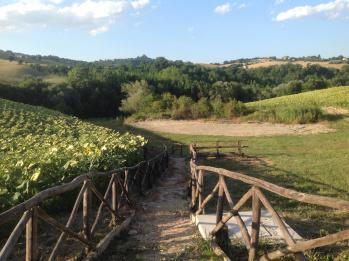 Viaggio nel Fermano: sapori autentici, storia e atmosfere delle Marche