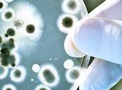Trapianto batteri fecali cura delle infezioni intestinali