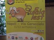 Napoli parte Bufala Fest