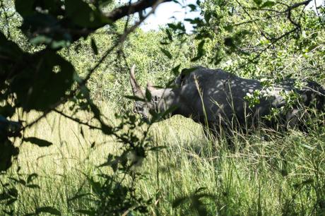 Primo giorno in Uganda: da Kampala allo Ziwa Rhino Sanctuary