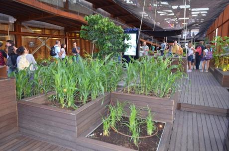 #NATIONALDAYBRASIL UN VIAGGIO ALLA SCOPERTA DEL PADIGLIONE BRASILIANO #EXPOMILANO2015