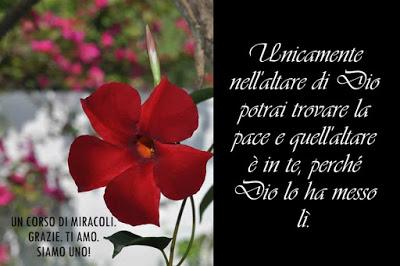 Quando non ti consideri prezioso ti ammali. Parte 4.