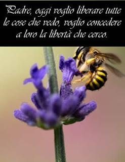 Quando non ti consideri prezioso ti ammali. Parte 4.