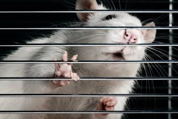 The Seance: la casa dei fantasmi in VR