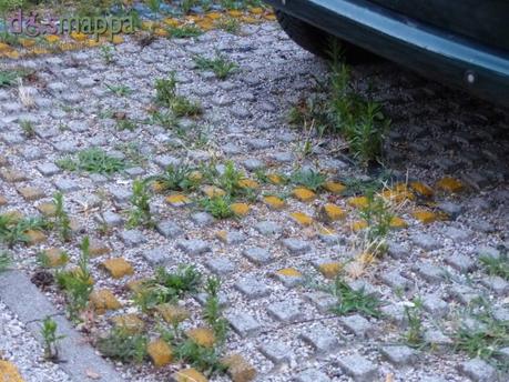 Parcheggio disabili al Teatro Camploy