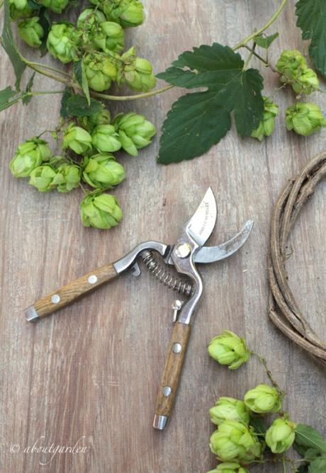 ingredienti ghirlanda