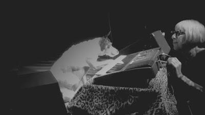 Venezia 72 - Heart of a Dog