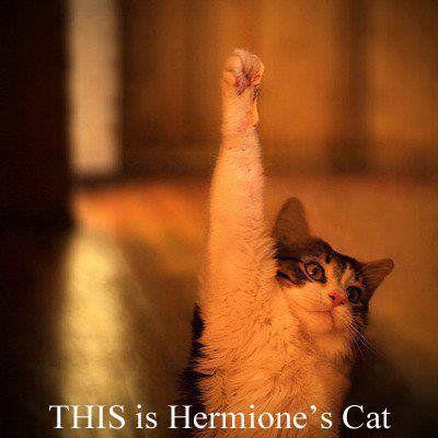 After all this time? Always