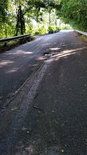 PAVIA. La pericolosità della scelta comunale nel dettagliato resoconto del consigliere Polizzi.