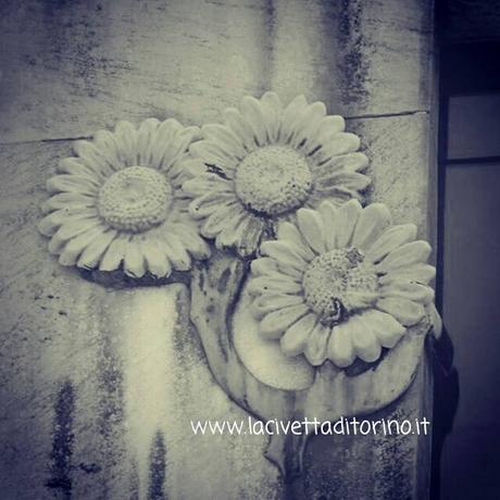 Girasole, Cimitero Monumentale di Torino