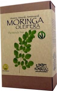 moringa oleifera