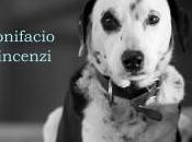 Recensione “Testimone cane altri racconti” Bonifacio Vincenzi