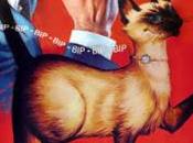 F.b.i. operazione gatto