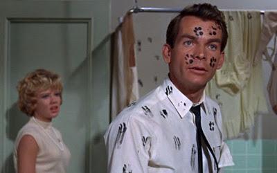 F.B.I. - OPERAZIONE GATTO