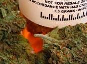 Cannabis medico, nuovo settore investitori