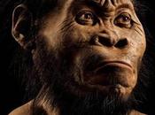 Esclusivo “Porta Porta” Stasera Bruno Vespa intervista clan dell’Homo Naledi. Ignazio Marino “Spettacolo rozzo primitivo. auguro qualcuno alla abbia buongusto chiedere scusa città Roma all’Homo Sapiens”.