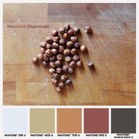 lacaccavella-food&colors-colors-pantone-brown-marrone-nocciola-hazelnut-01