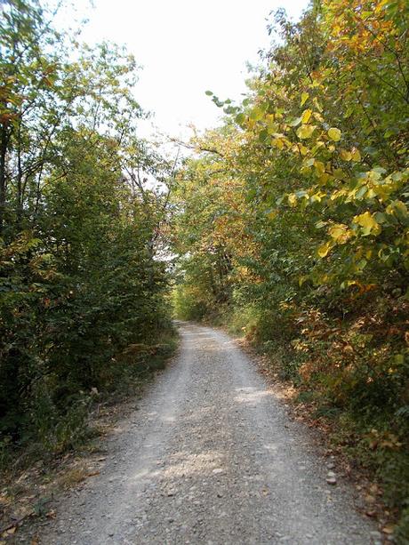 Pomeriggio a Rivarossa (AL), Val Borbera