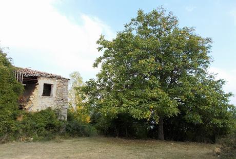 Pomeriggio a Rivarossa (AL), Val Borbera