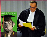 PATRIMONIO DELL ' UMANITA'                                                                                        