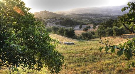 Maremma Toscana: confini indefiniti, sapori autentici, colori indimenticabili