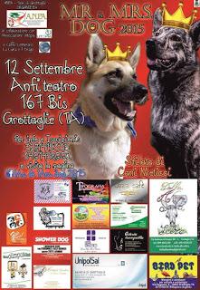 Mr & Mrs DOG - sfilata di cani meticci a Grottaglie il 12 settembre 2015