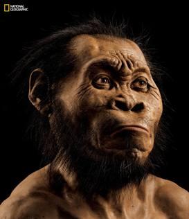 Scoperta una nuova specie umana, l'Homo Naledi