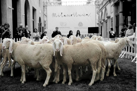 Settimana della lana, sfilata green in Montenapoleone
